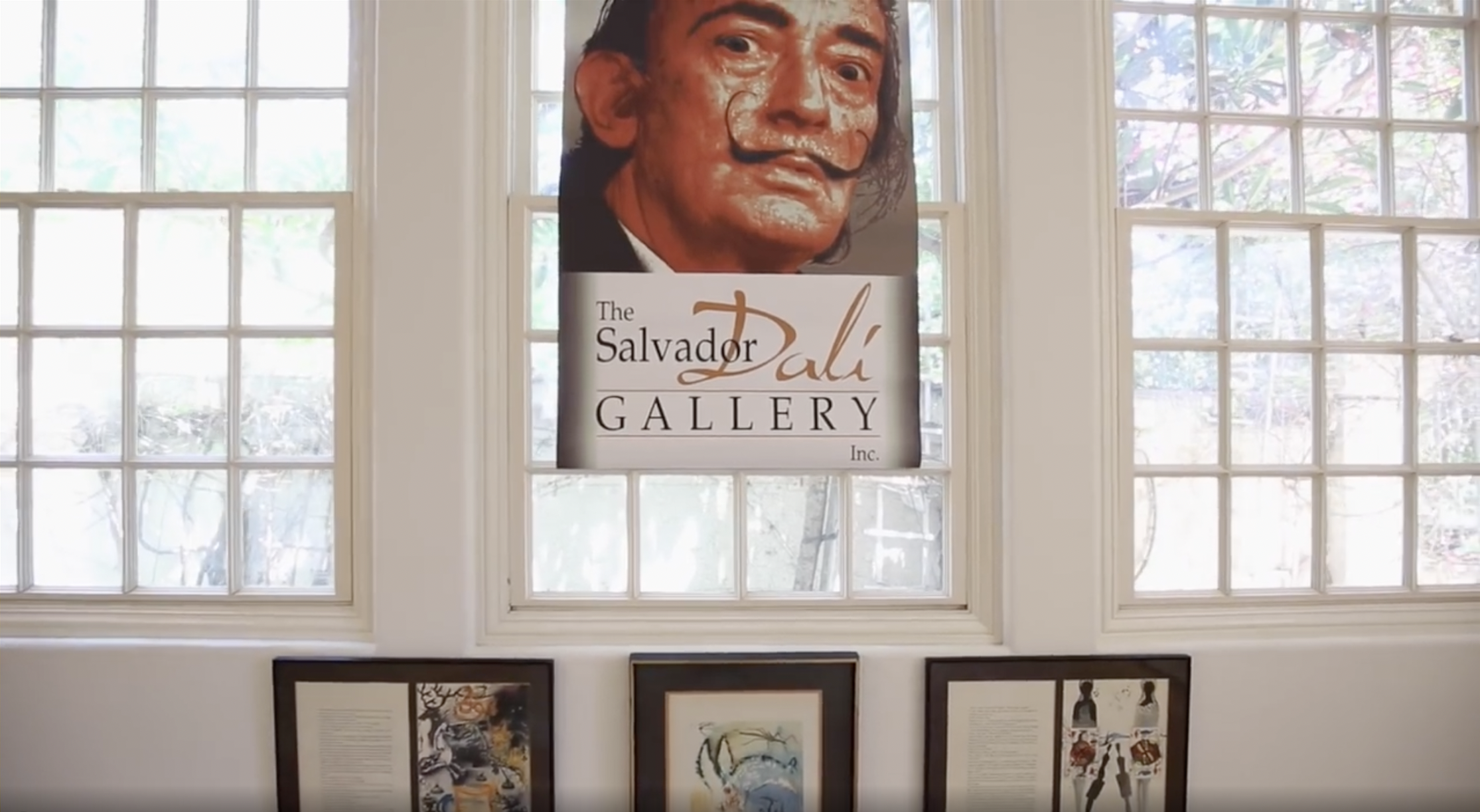 Salvador Dali Gallery - servicing 